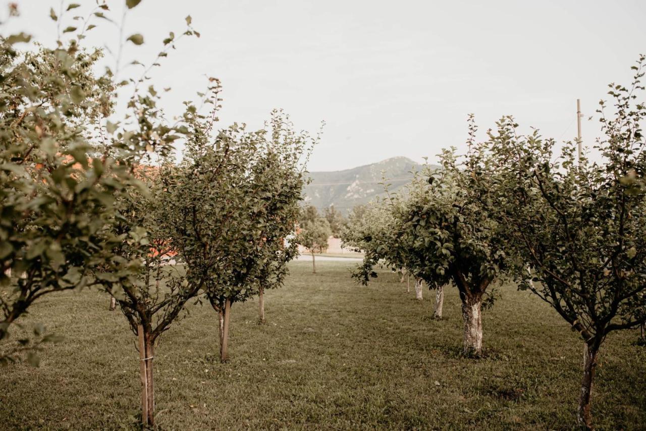 Vikendica Castanea Banja Zdrelo Villa Petrovac na Mlavi Luaran gambar